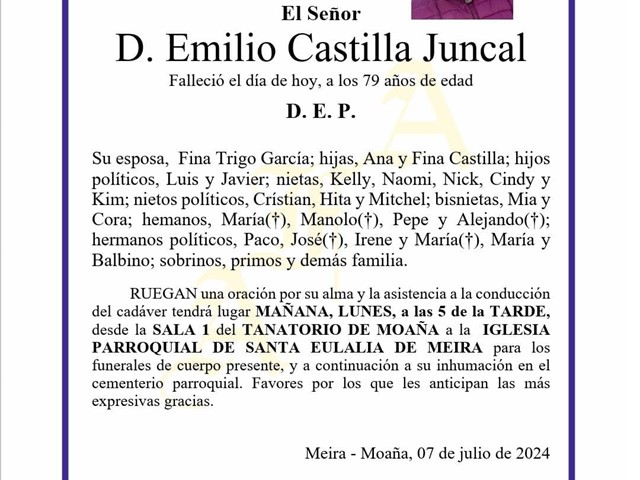 D. EMILIO CASTILLA JUNCAL