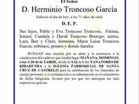 D. HERMINIO TRONCOSO GARCÍA